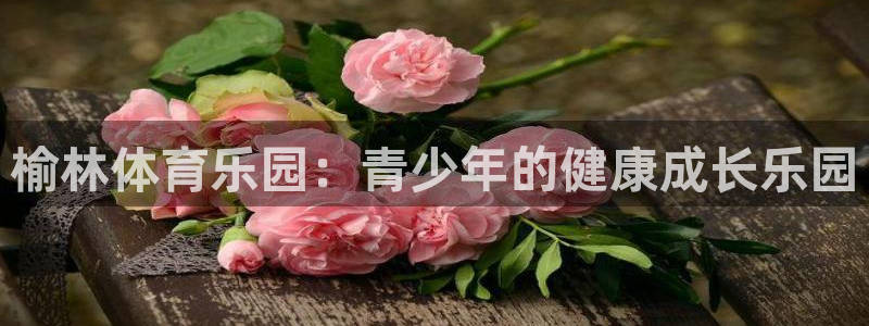 一竞技官网下载招商电话地址是多少:榆林体育乐园:青少年的健康