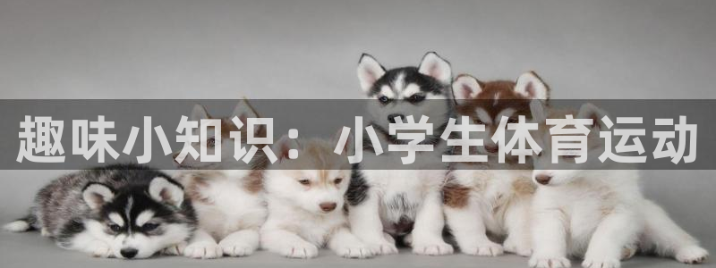 一竞技官网下载招商电话是多少:趣味小知识:小学生体育运动