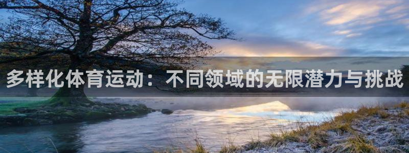 一竞技官方正版app集团:多样化体育运动:不同领域的无限潜力