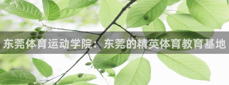 一竞技官网下载:东莞体育运动学院:东莞的精英体育教育基地